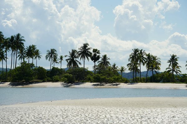 Où assister à des spectacles de danse traditionnelle en Polynésie française?